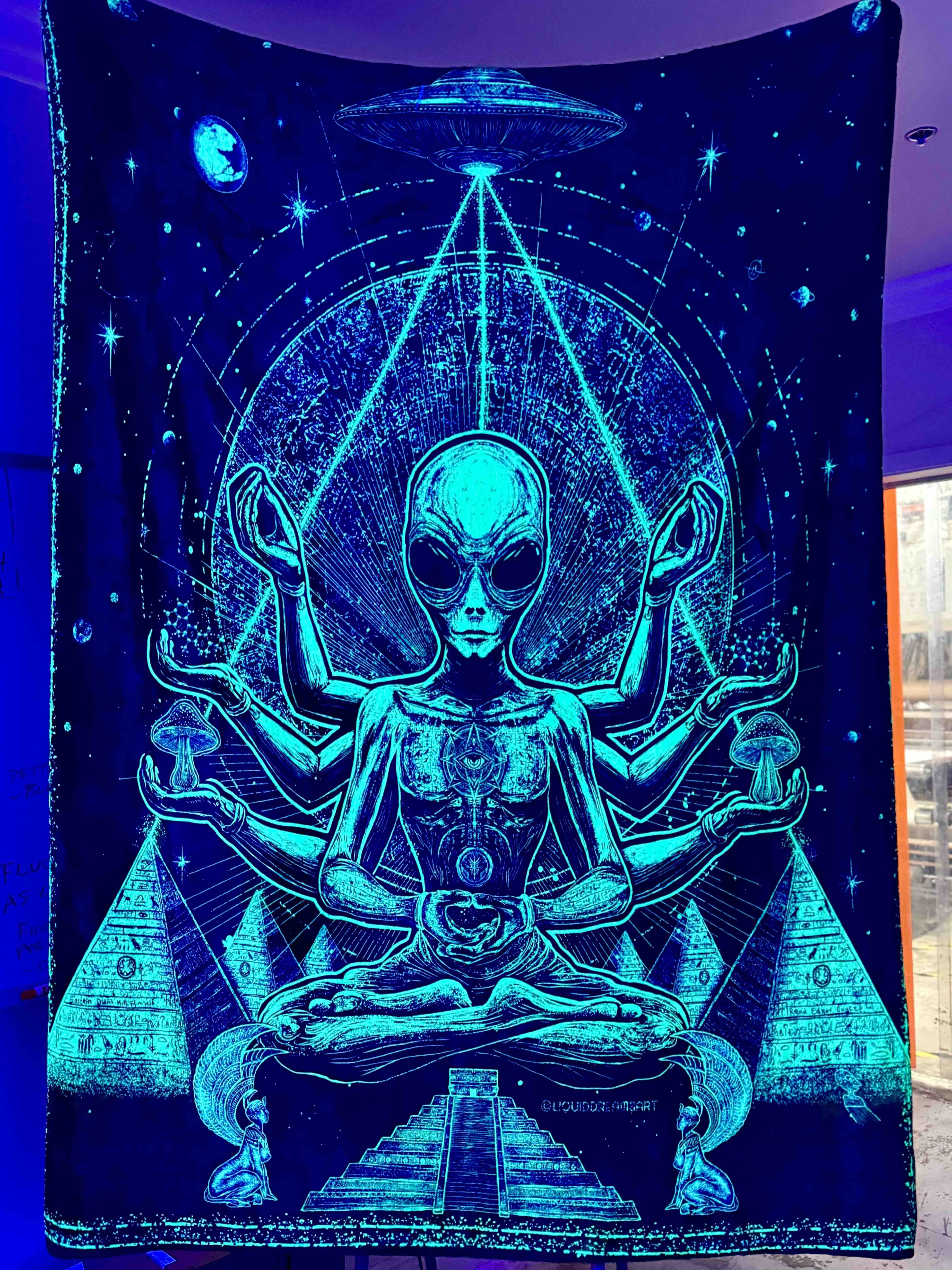 Alien Aura ╳ Wildcat UV Reactive Double Sided Blanket