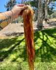 Honey Tail
