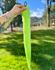 Neon Yellow Tail