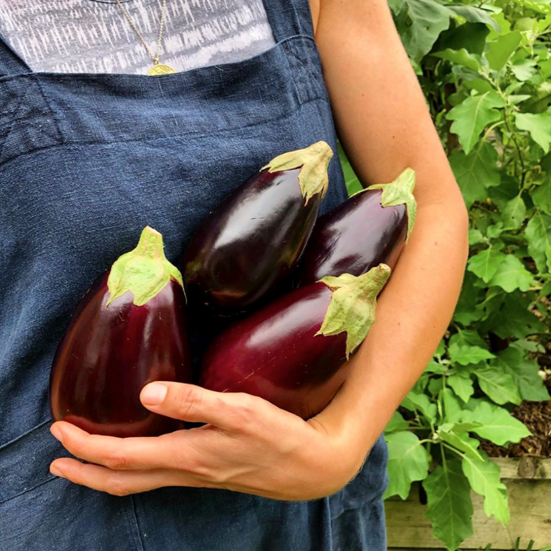 Benefits of Growing A Garden at Home