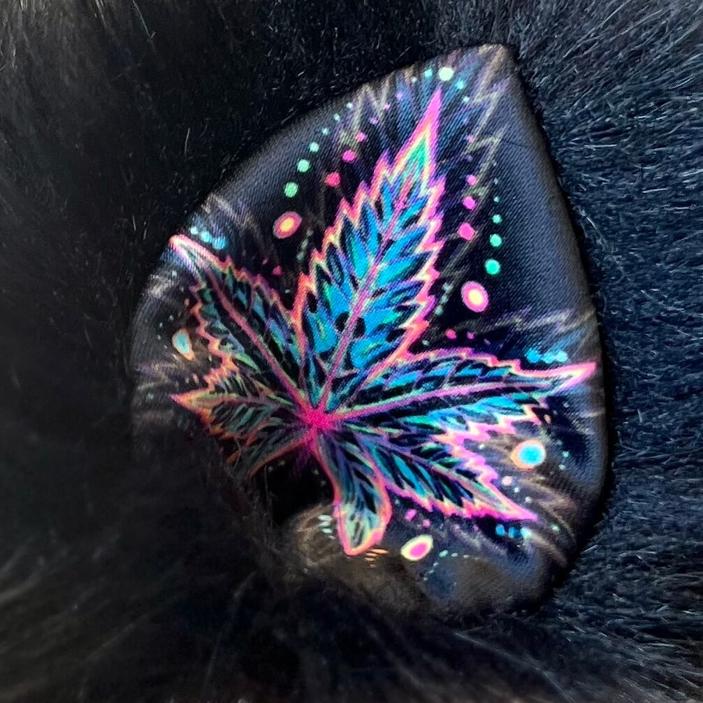 High Vibes ╳ Indica Ears