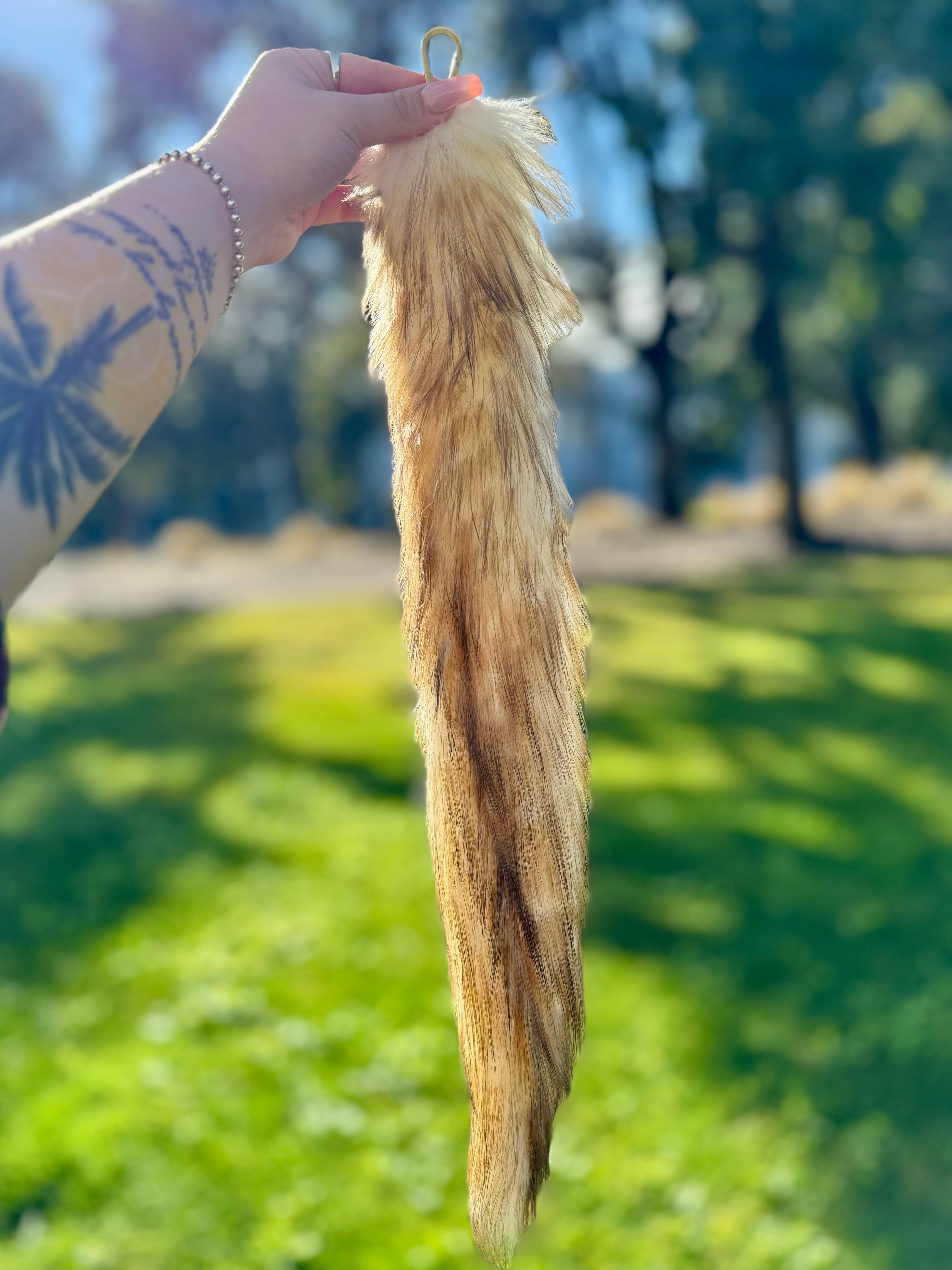 Dirty Blonde Tail